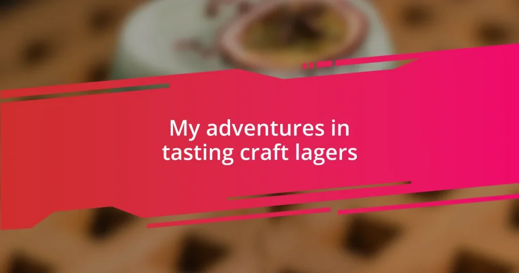 My adventures in tasting craft lagers