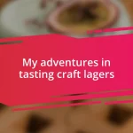 My adventures in tasting craft lagers